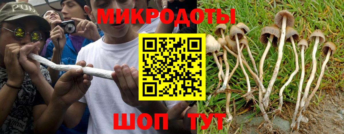 Псилоцибиновые грибы Magic Shrooms Углич