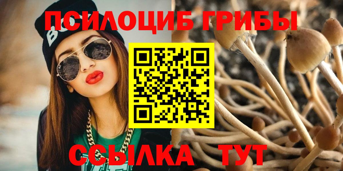 Углич  Псилоцибиновые грибы Cubensis  цена   Вход с VPN 